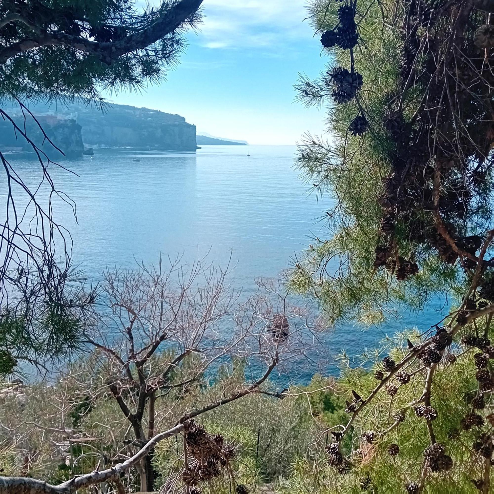 Villa La Galetta 维克艾库塞 外观 照片