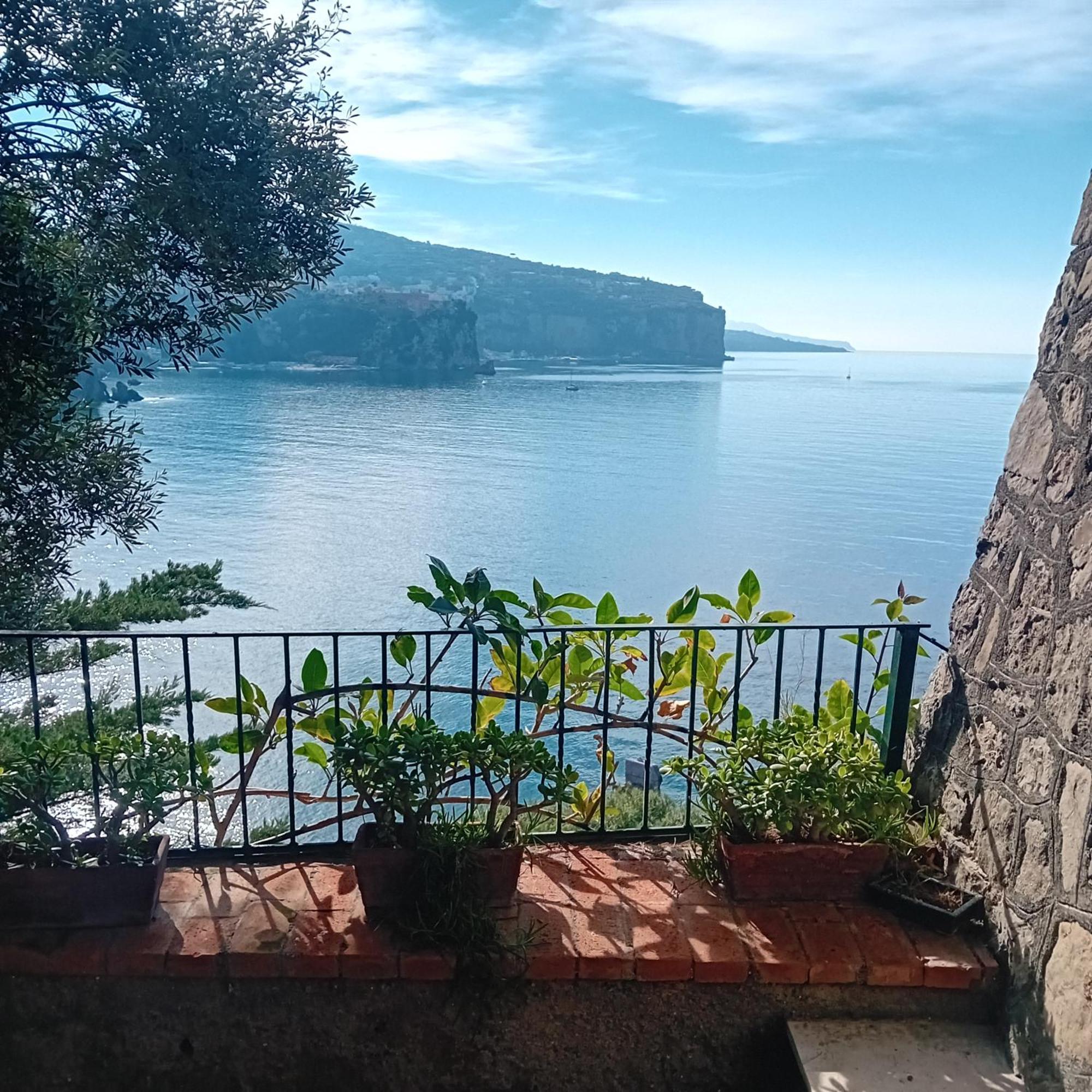 Villa La Galetta 维克艾库塞 外观 照片