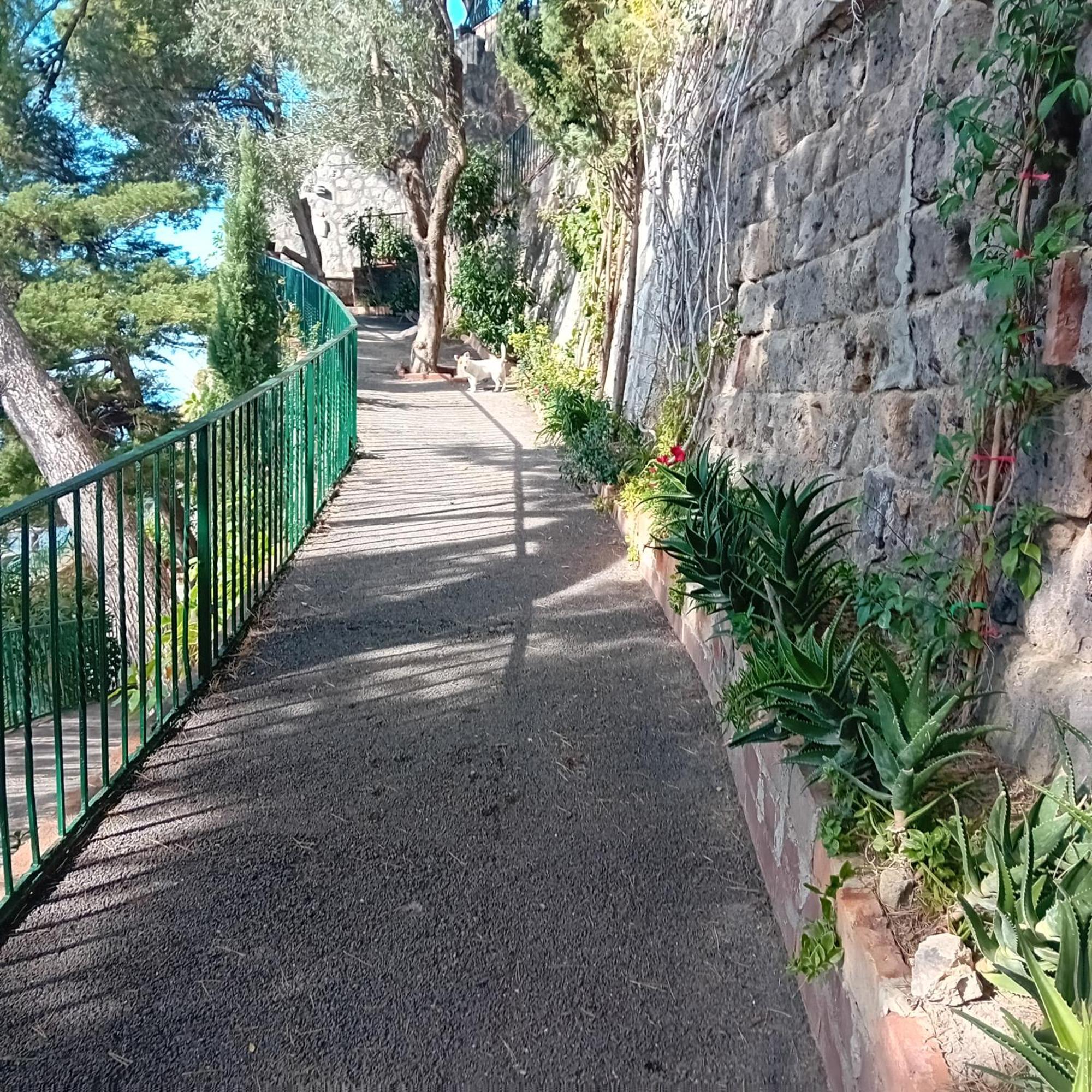 Villa La Galetta 维克艾库塞 外观 照片